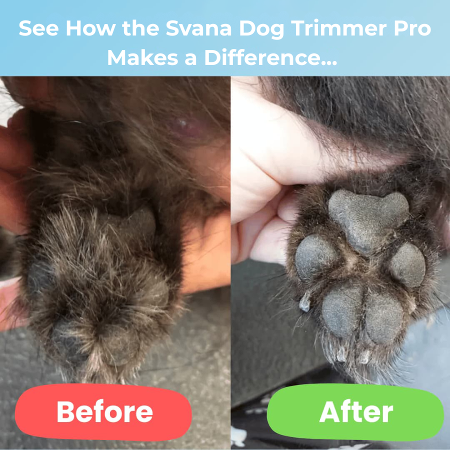 Svana Dog Trimmer Pro